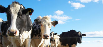 Agriculture & Rural Spring Briefing Paper