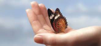 The Importance of Tax and Estate Planning within Farming Families