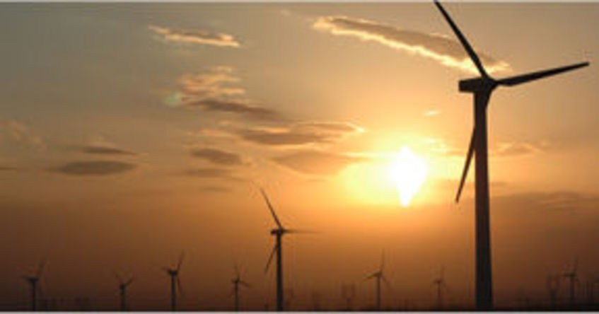 Roaring Success for Renewables Conference