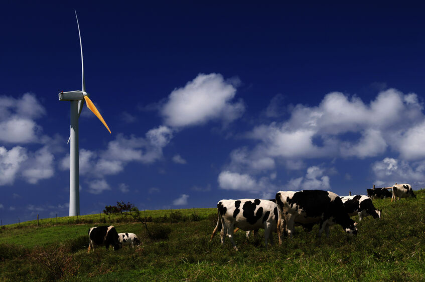 Considerations Landowners Should Take When Exploring Potential Commercial Renewable Energy Projects