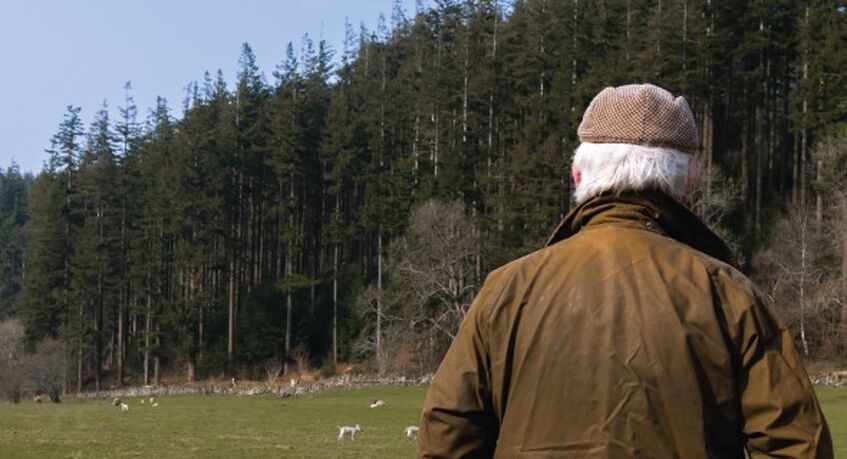 The Changing Inheritance Tax Landscape for Woodland Owners