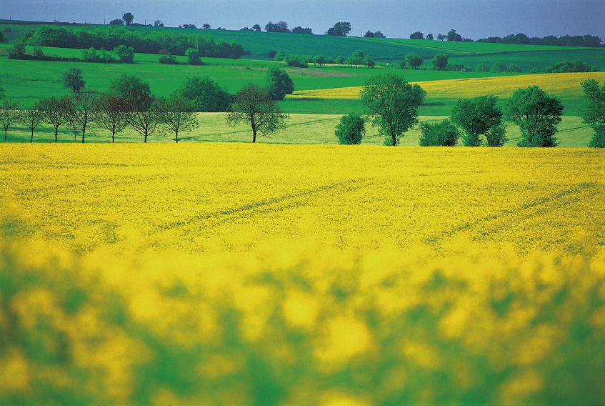 WJM to attend Scottish Land and Estates Spring Conference