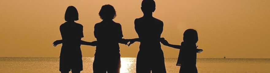 Recent Cases in Family Law  As presented by Tom Quail